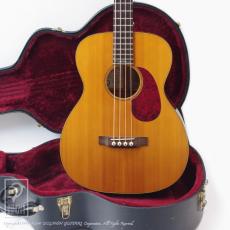 Martin Sting SWB (Sting Signature)_13