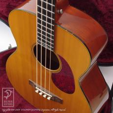 Martin Sting SWB (Sting Signature)_14