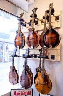 LAST GUITAR_6