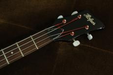 Hofner Club Bass Ignition Premium Edition / Sunburst_5