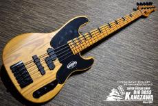 SCHECTER MODEL-T SESSION 5 【TLベース5弦!】