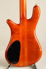 Spector NS-2 Amber_3