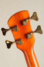 Spector NS-2 Amber_7