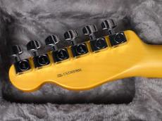 Fender American Professional II Telecaster Black_9