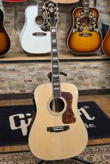 Guild Guild D-55 【フラッグシップ】【無金利分割・送料当社負担】【Guildマグカップ付き】_2