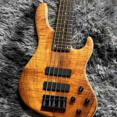 Sadowsky MetroLine 24-Fret Modern Bass 5-String 2025 Limited Edition【限定モデル】【Made in Germany】