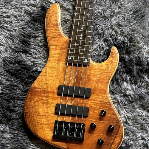 Sadowsky MetroLine 24-Fret Modern Bass 5-String 2025 Limited Edition【限定モデル】【Made in Germany】