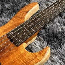 Sadowsky MetroLine 24-Fret Modern Bass 5-String 2025 Limited Edition【限定モデル】【Made in Germany】_5