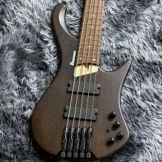 Ibanez EHB605-WNF (Walnut Flat) 【特価】【2026 NEWモデル】【ヘッドレスベース】【5弦】