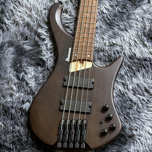 Ibanez EHB605-WNF (Walnut Flat) 【特価】【2026 NEWモデル】【ヘッドレスベース】【5弦】