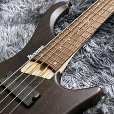 Ibanez EHB605-WNF (Walnut Flat) 【特価】【2026 NEWモデル】【ヘッドレスベース】【5弦】_4
