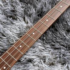 Bacchus BJB-1-RSM/R-BPPG DLPB -Univers Series-【特価】【SPOTモデル】【ローステッドメイプルネック】_5