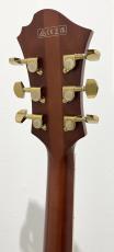 Ibanez PM3C-NAL(Natural Amber Low Gloss)【アウトレット特価!】_9