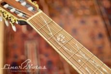 Ibanez TOD10N Tim Henson/Polyphia(Transparent Black Flat)_6