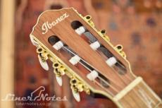 Ibanez TOD10N Tim Henson/Polyphia(Transparent Black Flat)_7