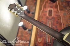 Ibanez TOD10N Tim Henson/Polyphia(Transparent Black Flat)_9