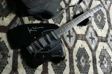 Steinberger Klein GK-4T #222_2