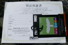 Paul Reed Smith [PRS] SE CE24 Vintage Sunburst 2023_10