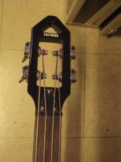 EASTWOOD GUITARS EUB-1_5