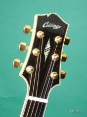Collings SJ Maple_3