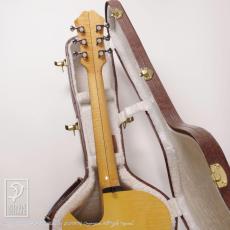 American Archtop Collector Custom 14" (Maple)_9