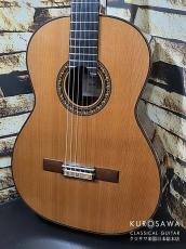 桜井・河野 君島 聡 So Kimishima LUNA ルナ 杉・マダガスカルローズ 20フレット 2026年製 最新作!【日本総本店2F 在庫品】