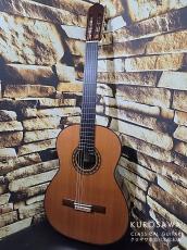 桜井・河野 君島 聡 So Kimishima LUNA ルナ 杉・マダガスカルローズ 20フレット 2026年製 最新作!【日本総本店2F 在庫品】_2