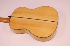 ASTURIAS アストリアス　フラメンコ カスタム/S_5