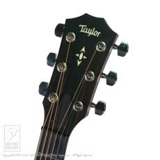 Taylor Builder’s Edition 517 V-Class WHB_7