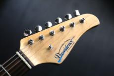 Providence ds-201RSV　_2