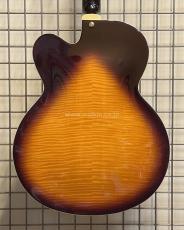 D'Angelico EXL-1DP_4