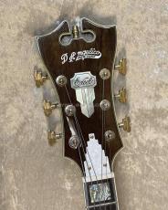 D'Angelico EXL-1DP_5