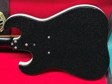 Silvertone MODEL 1448_3