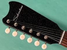 Silvertone MODEL 1448_5