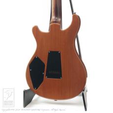 Paul Reed Smith [PRS] 513 10 Top Brazilian Rosewood Neck Blue Matteo_3