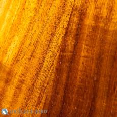 HAMAGEN C-014 Concert Koa_10