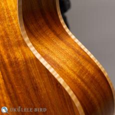 HAMAGEN C-014 Concert Koa_11