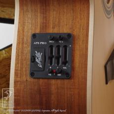 Maton EBG808 Artist_13