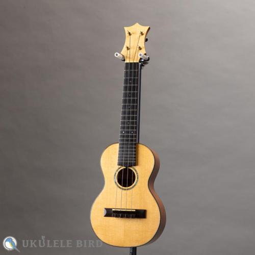 HAMAGEN C-016 Concert Spruce Mahogany