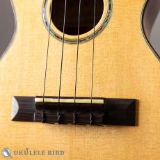 HAMAGEN C-016 Concert Spruce Mahogany_3