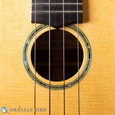 HAMAGEN C-016 Concert Spruce Mahogany_4