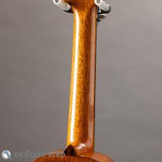 HAMAGEN C-016 Concert Spruce Mahogany_8