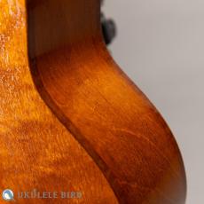 HAMAGEN C-016 Concert Spruce Mahogany_11