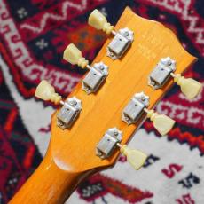 Gibson 1973 Les Paul Deluxe Gold Top_8
