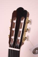 ASTURIAS アストリアス カスタム/C_4