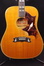 Gibson DOVE
