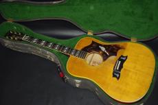 Gibson DOVE_2