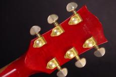 Gibson DOVE_5