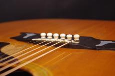 Gibson DOVE_6