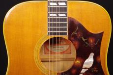 Gibson DOVE_8